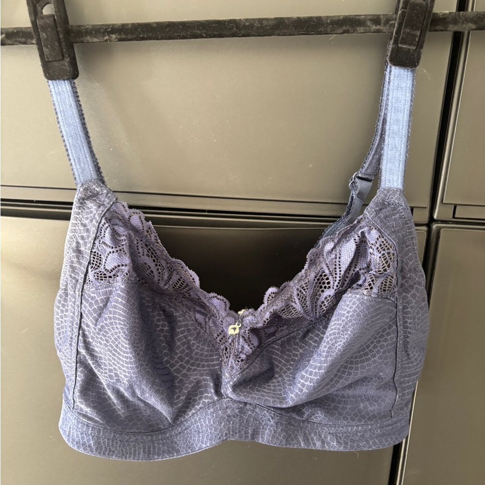 Fantasie Blue Lace Bralette